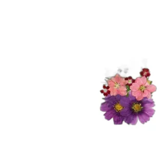 naturalne suszone kwiaty — zdjęcie produktu