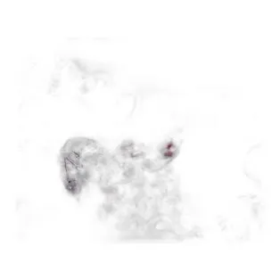 wosk sojowy y50 kupić