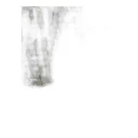 żelkot top kot cena